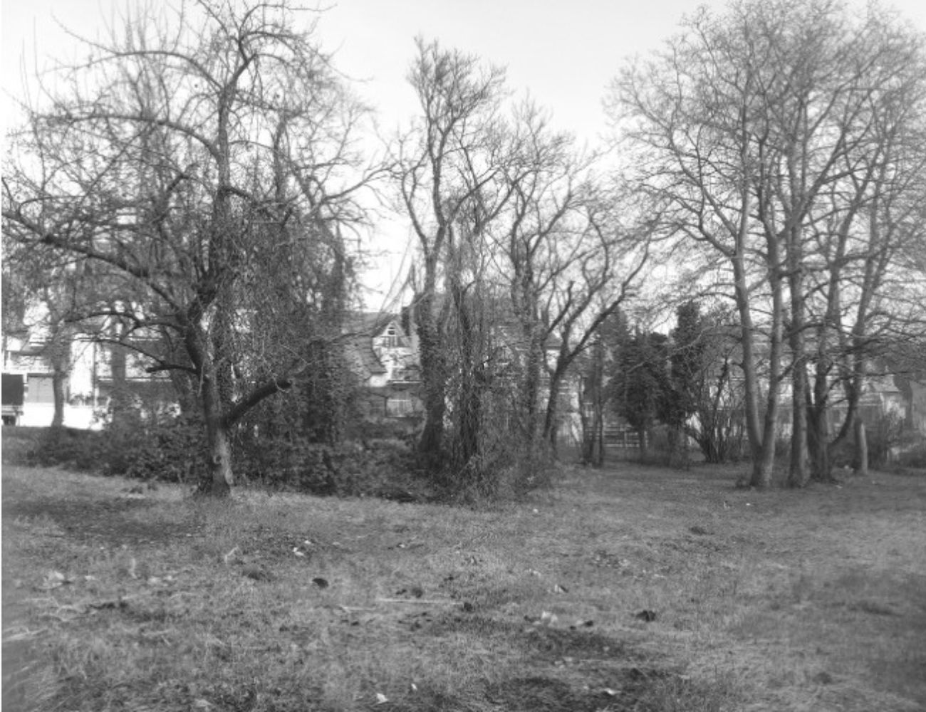 Wildergrund - verwildertes Gelände in Maihälden